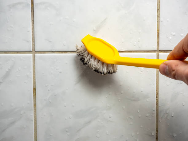 Best Mold Removal Company Near Me  in Springfield, IL