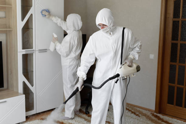 Best Crawl Space Mold Removal  in Springfield, IL
